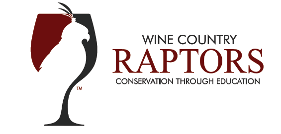 Wine Country Raptors